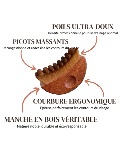 Jovéa – Brosse Drainante Premium
